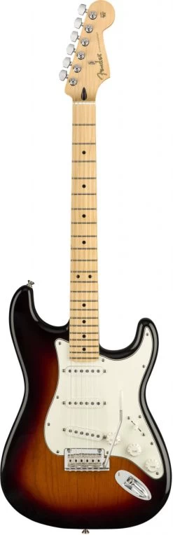 Fender Player Strat MN - 3TS