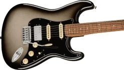Fender Player Plus Strat HSS PF - SVB -Next stop, Gitarre. 114162382 03 1280x1280