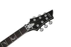 Schecter Damien Platinum 6 FR Sustainiac - SBK 14 Schecter Damien Platinum 6 FR Sustainiac - SBK -Next stop, Gitarre. 114562223 05k3fB2nGeqvsMT 1280x1280