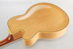 Ibanez PM200-NT Pat Metheny -Next stop, Gitarre. 118275521 02gqS8XR8W52O7G 1280x1280