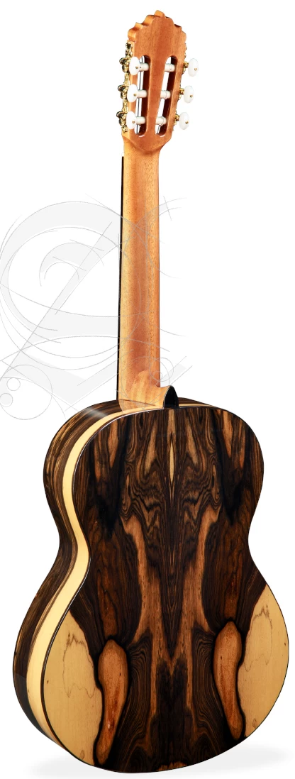 Alhambra 6 White Ebony 5 Alhambra 6 White Ebony – Bild 3