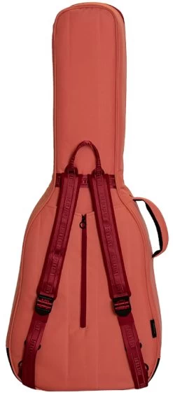 Ritter Bern RG B4C FRO -Next stop, Gitarre. 230538113 03 1280x1280